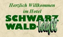 Hotel Schwarzwald- Idyll