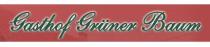 Speisekarte Restaurant Grüner Baum Linx in Rheinau