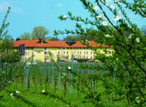 Logo Steigenberger Hotel Deidesheim