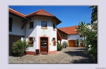 Logo Landgasthaus Zur Traube