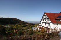 Logo Grüner Baum - Brandmatt