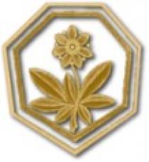 Logo Pizzeria Da Mimmo