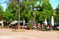 Logo Biergarten im Schlossgarten
