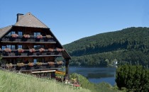 Logo Boutique-Hotel Alemannenhof