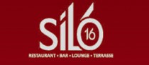 Logo Silo16