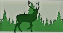 Logo Waldgasthaus Tannenbusch