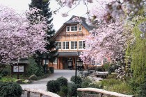 Logo Wildpark-Restaurant Schwarze Berge