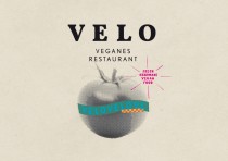 Logo VELO