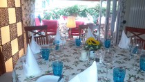 Logo Weinstube Reblaus