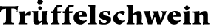 Logo TrüffelSchwein