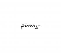 Restaurant pinus