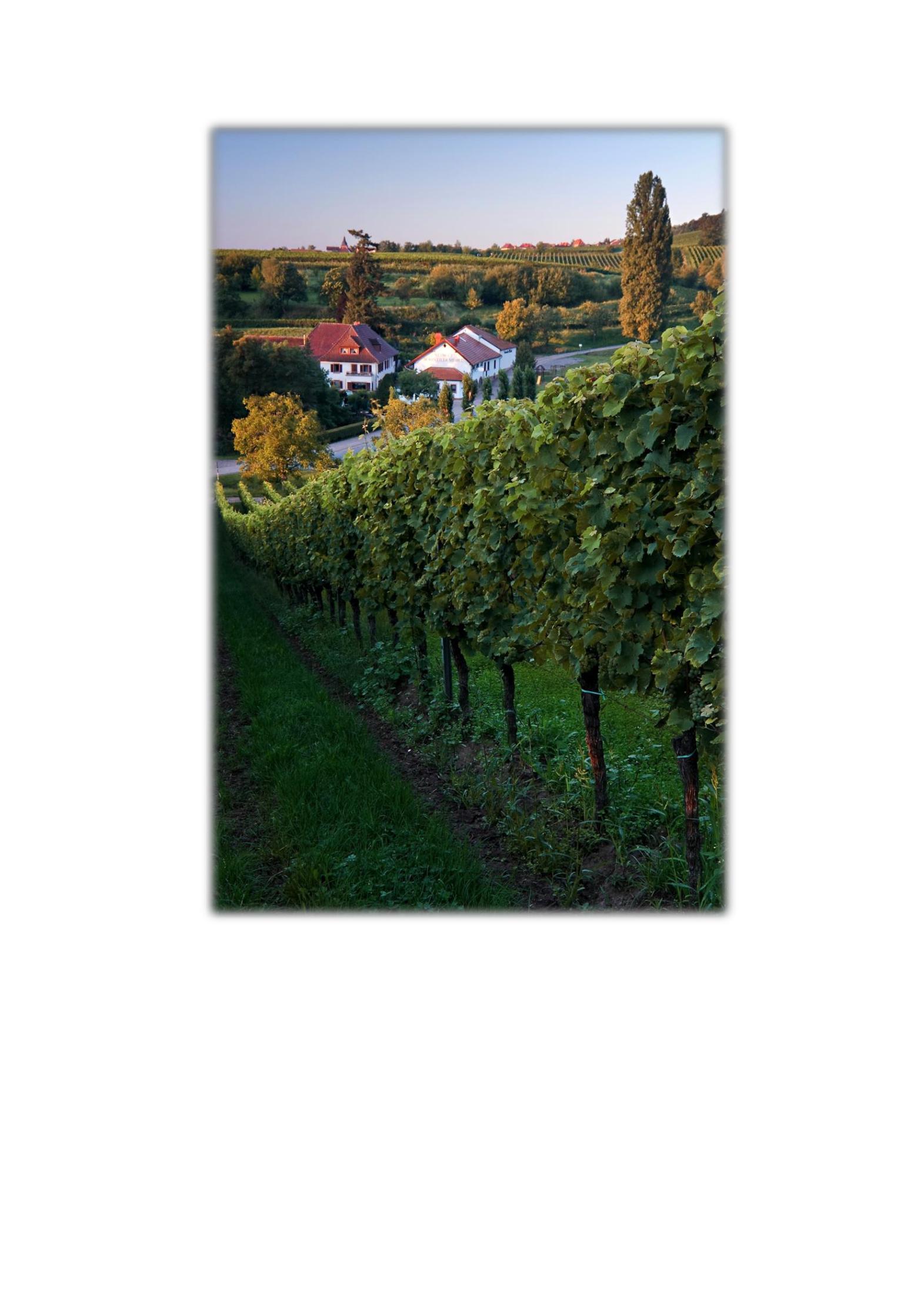 Speisekarte Burrweiler Mühle in Burrweiler, Seite 5