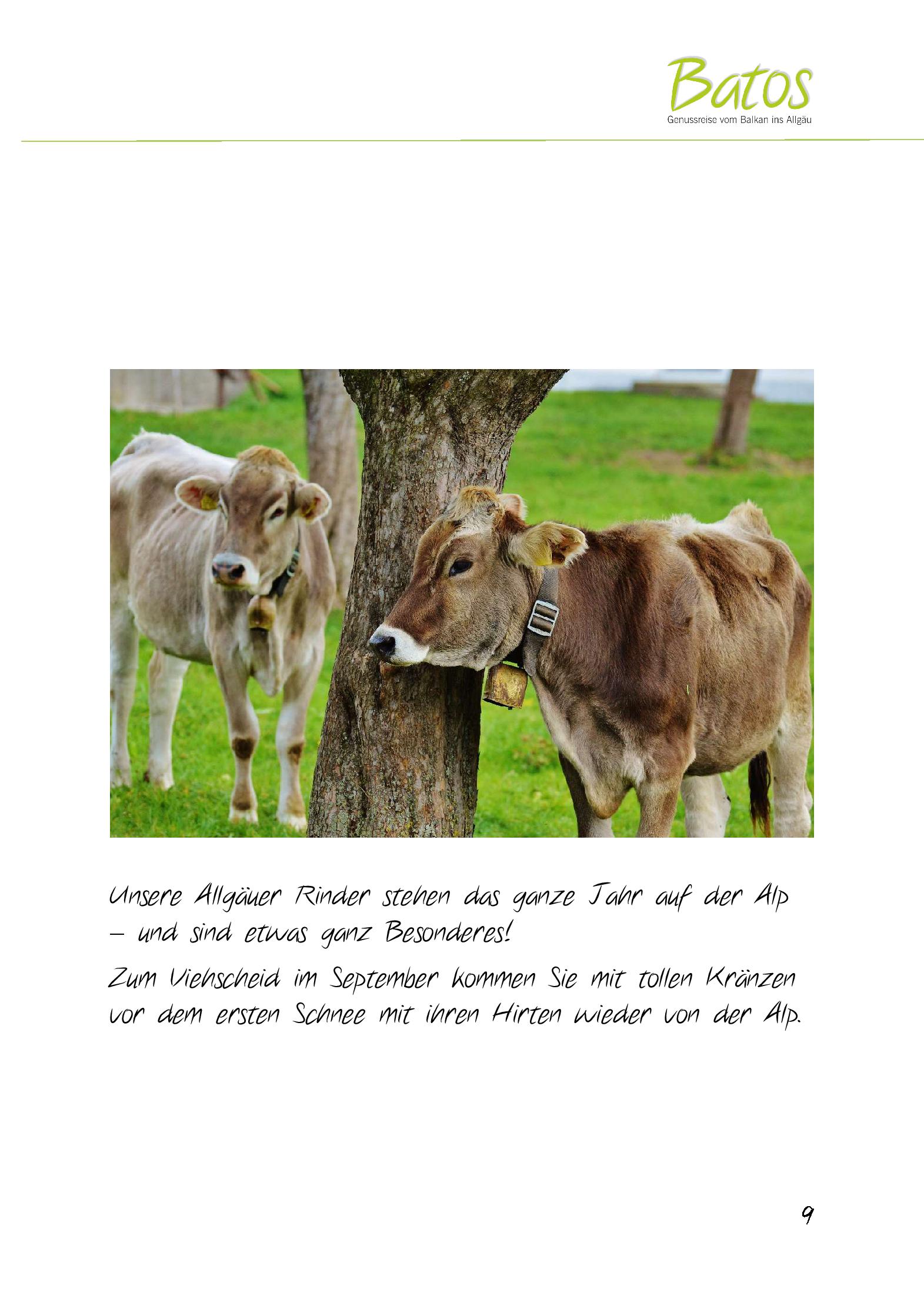 Speisekarte Batos - Genussreise vom Balkan ins Allgäu in Bad Grönenbach, Seite 10
