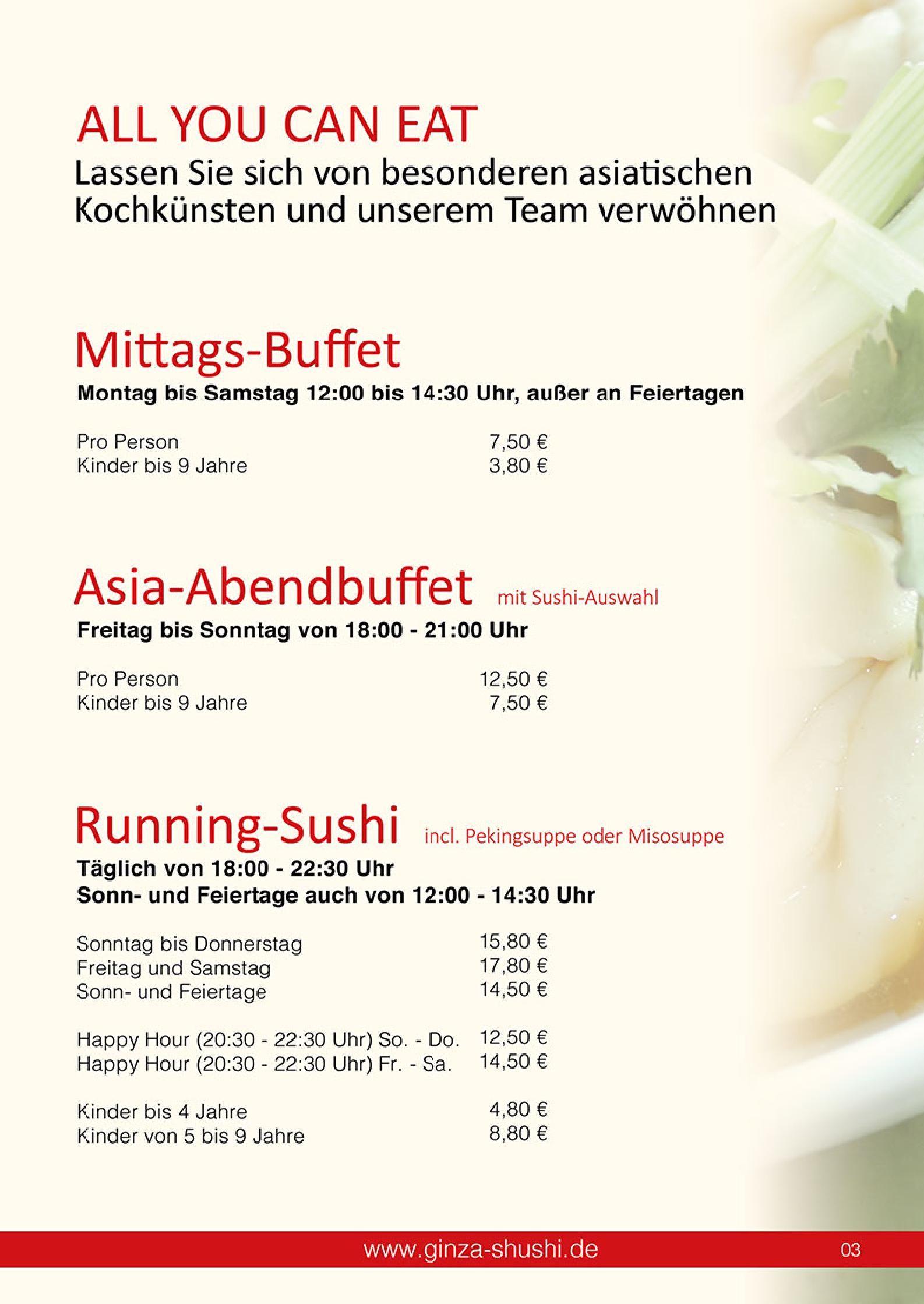 Speisekarte Japan & China Restaurant GINZA in Reutlingen, Seite 3