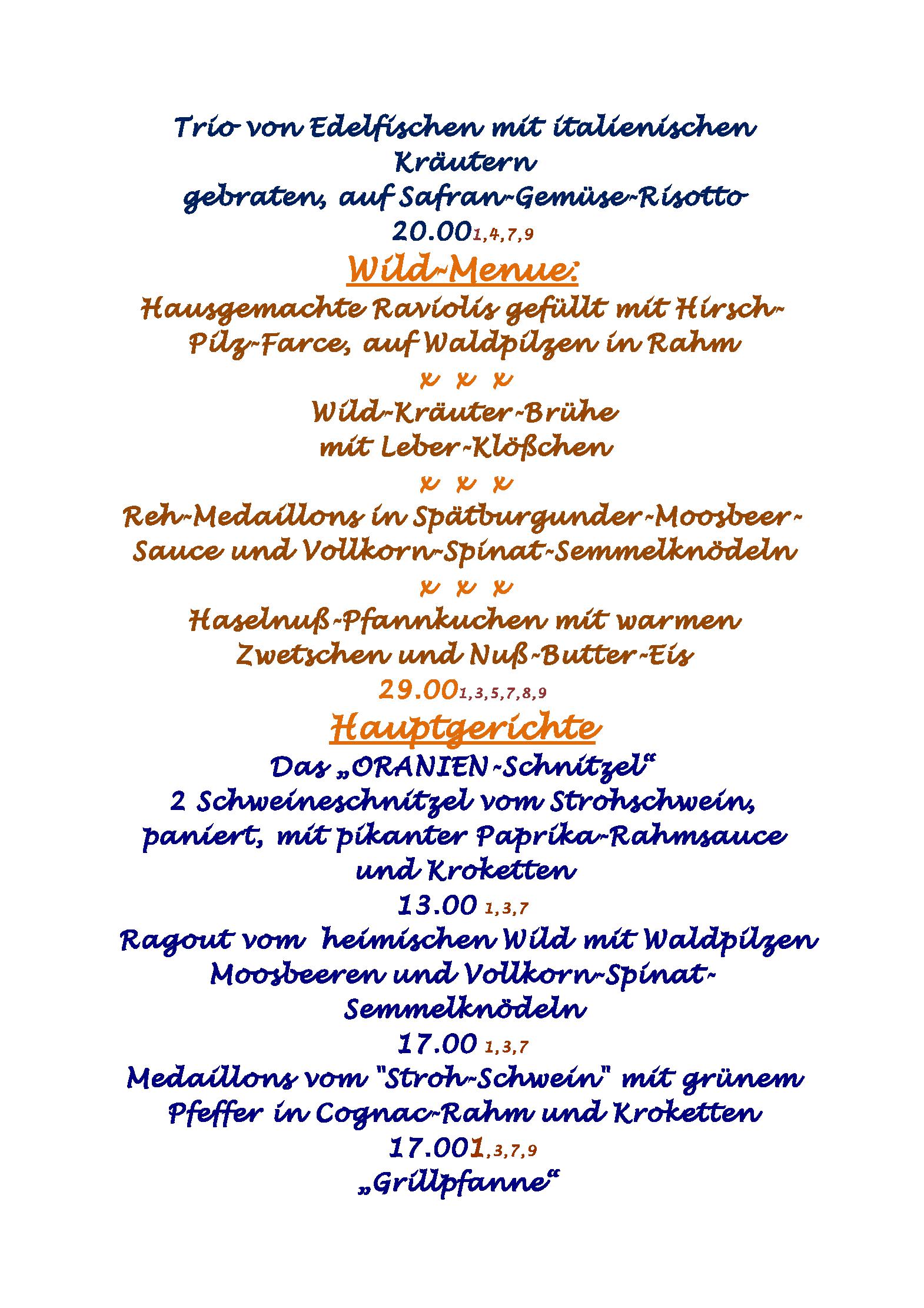 Speisekarte Oranien in Nastätten, Seite 3