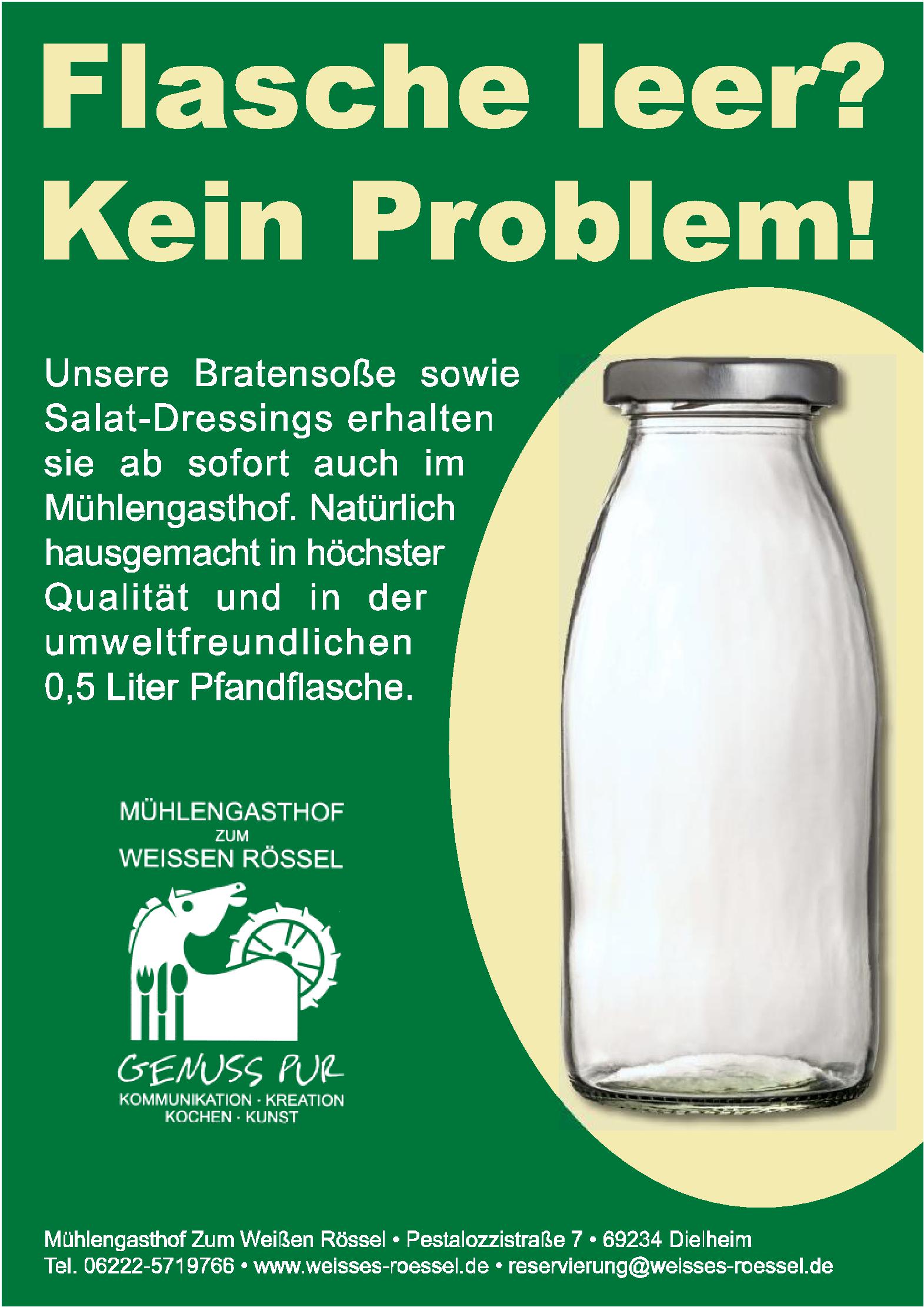 Speisekarte Mühlengasthof Zum Weißen Rössel in Dielheim, Seite 48