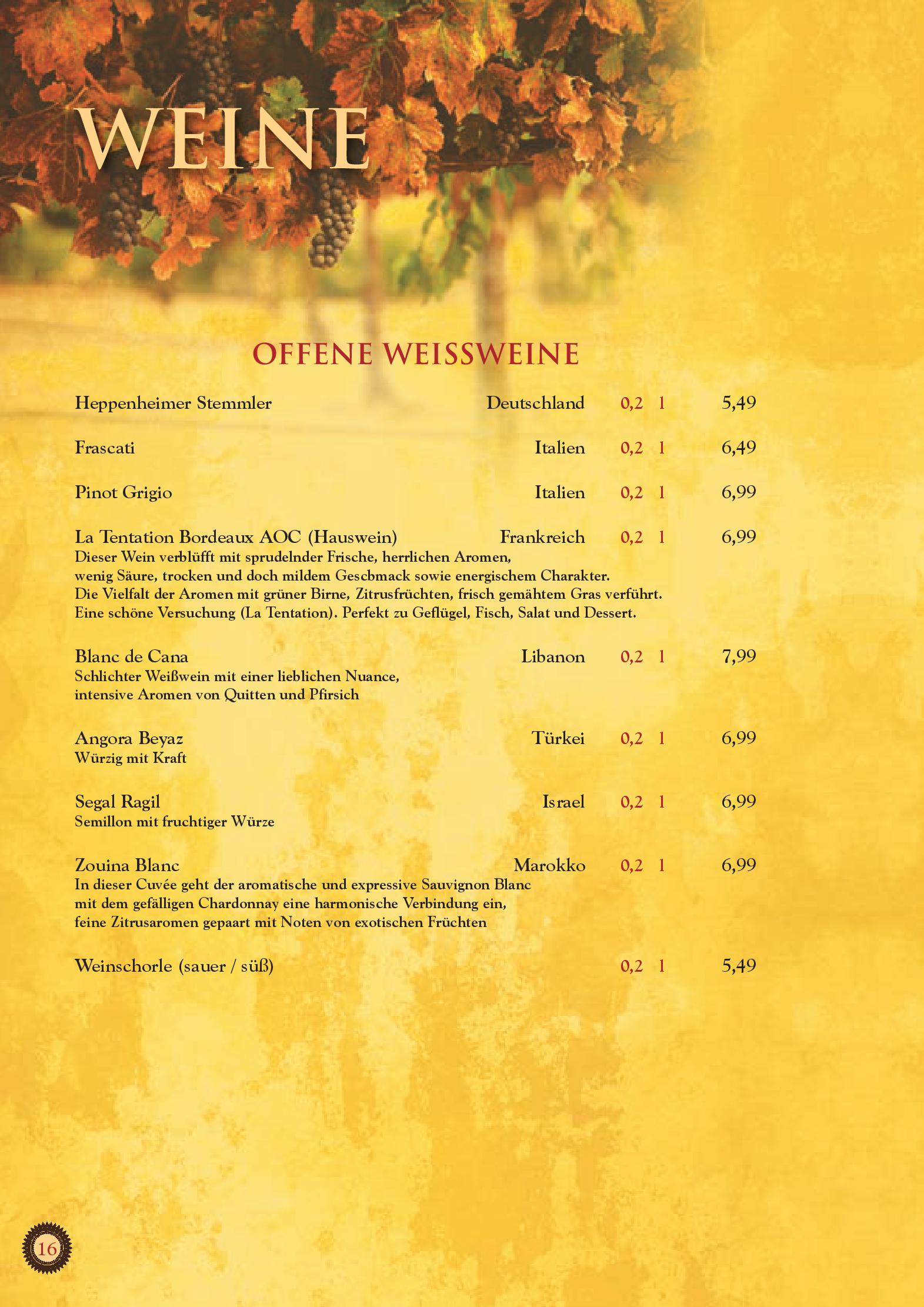 Speisekarte Restaurant Shiraz in Darmstadt, Seite 16