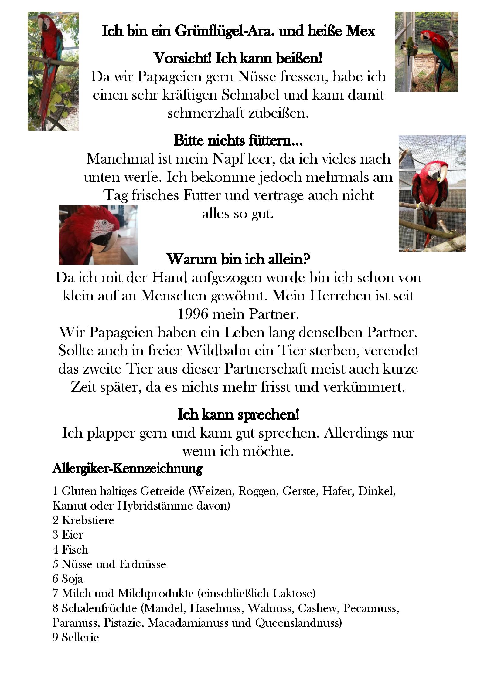 Speisekarte Zum Fürstenthal in Frauenstein, Seite 5