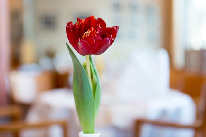 Restaurant 'STRAND12' in Rostock, Foto 16
