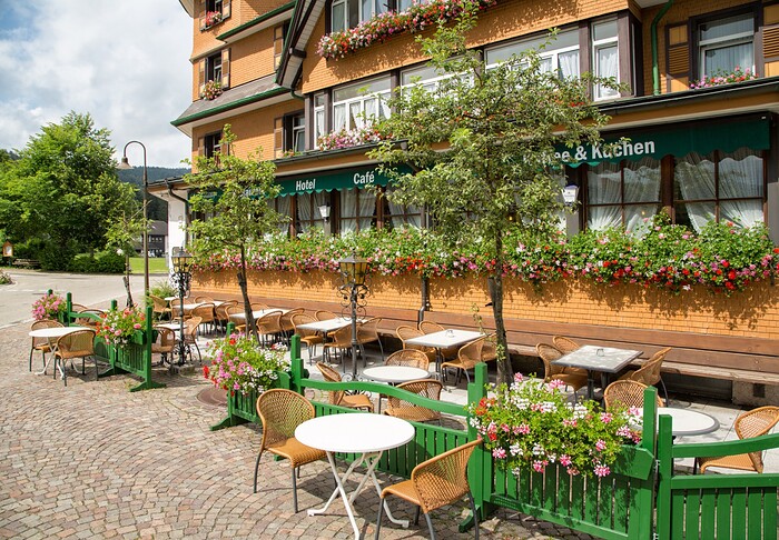 Hotel Schwarzwaldhof in Hinterzarten