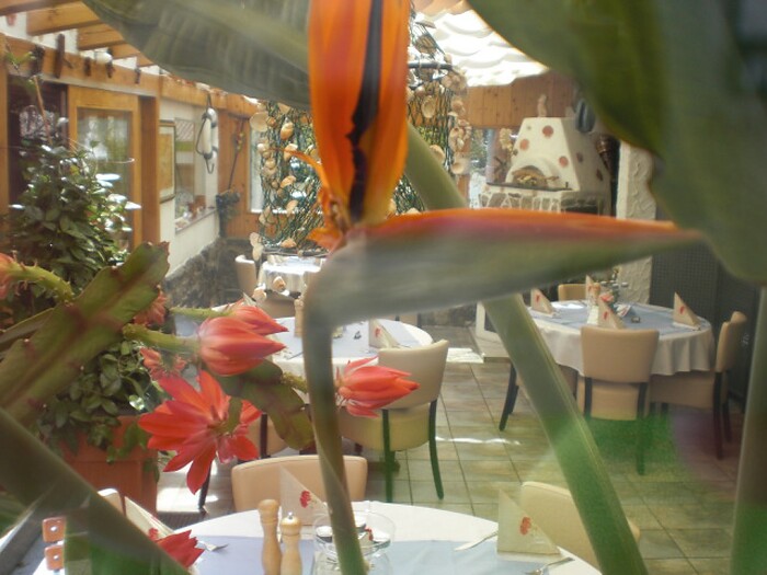 Restaurant Kastell in Sulz am Neckar, Foto 43
