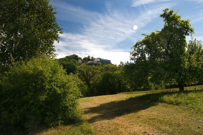 Berg Gasthof Hötzelein in Kunreuth, Foto 22