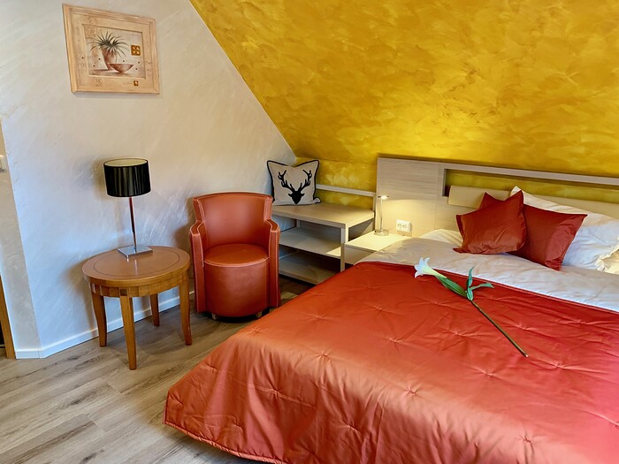 Boutique Hotel Goldene Henne in Wolfsburg, Foto 65