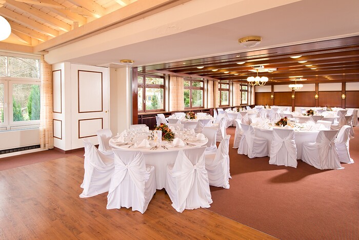 Schwarzwald Hotel Silberkönig in Gutach, Foto 20