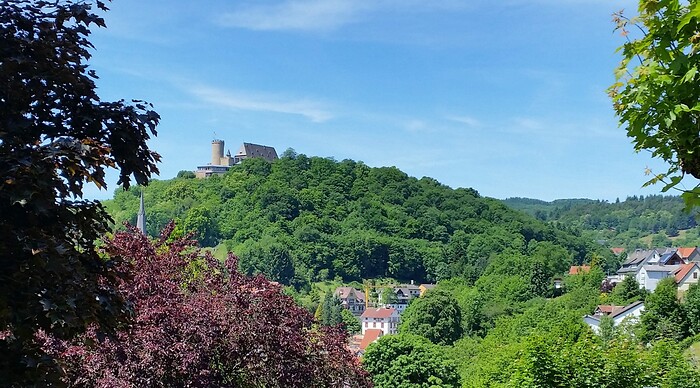 Parkhotel Biedenkopf in Biedenkopf, Foto 3