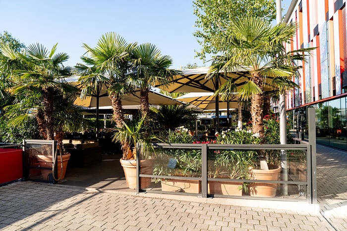 Palm Beach in Stuttgart, Foto 5