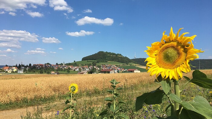 Speisekarte Hotel Gasthof zum Rössle in Hüfingen