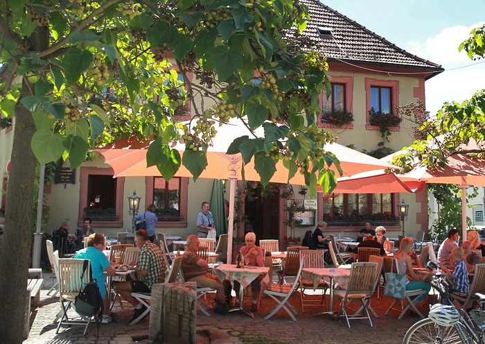 Restaurant Weingasthof Rose in Volkach
