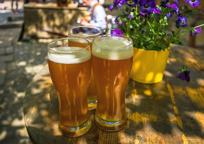 Allegro im Musikerheim in Neu-Ulm, Foto 6
