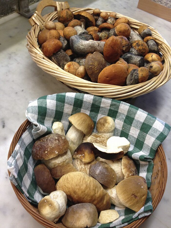 Antje´s Schmankerlrestaurant und Bergcafe Bauer in Tröstau, Foto 3