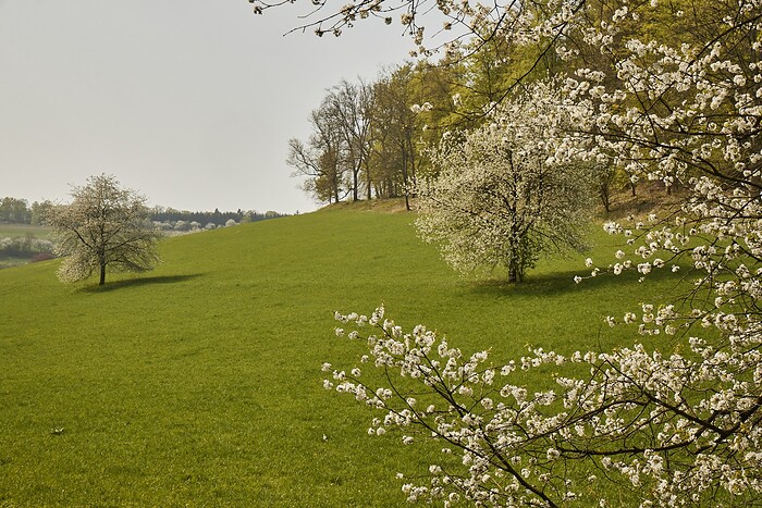 La Vallée Verte im Hotel Hohenhaus in Herleshausen, Foto 11