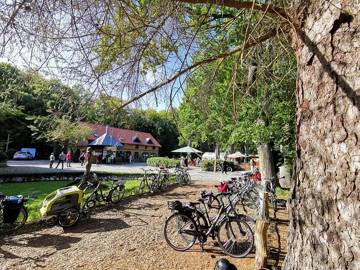 Cafégarten Sundische Wiese in Zingst, Foto 1