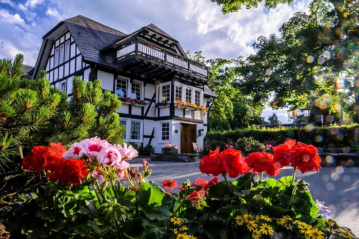 Landhotel Gasthof Schütte in Schmallenberg, Foto 2