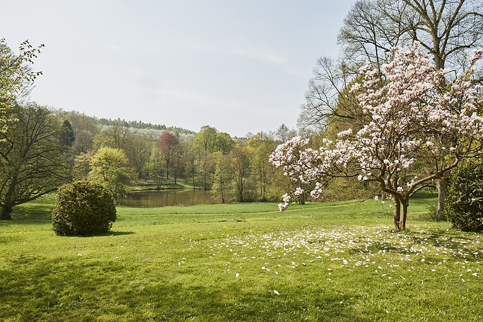 La Vallée Verte im Hotel Hohenhaus in Herleshausen, Foto 7