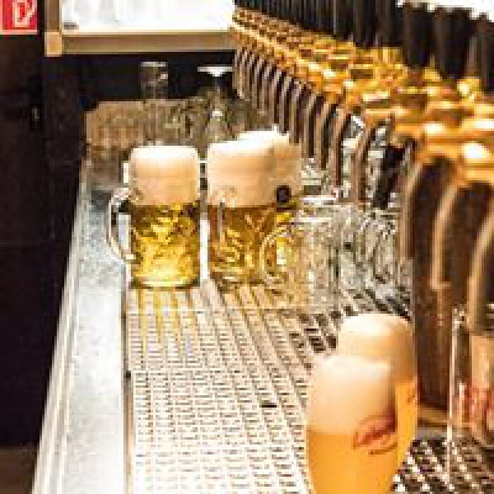 Dachsbau, Haus der Biere in Krefeld, Foto 1
