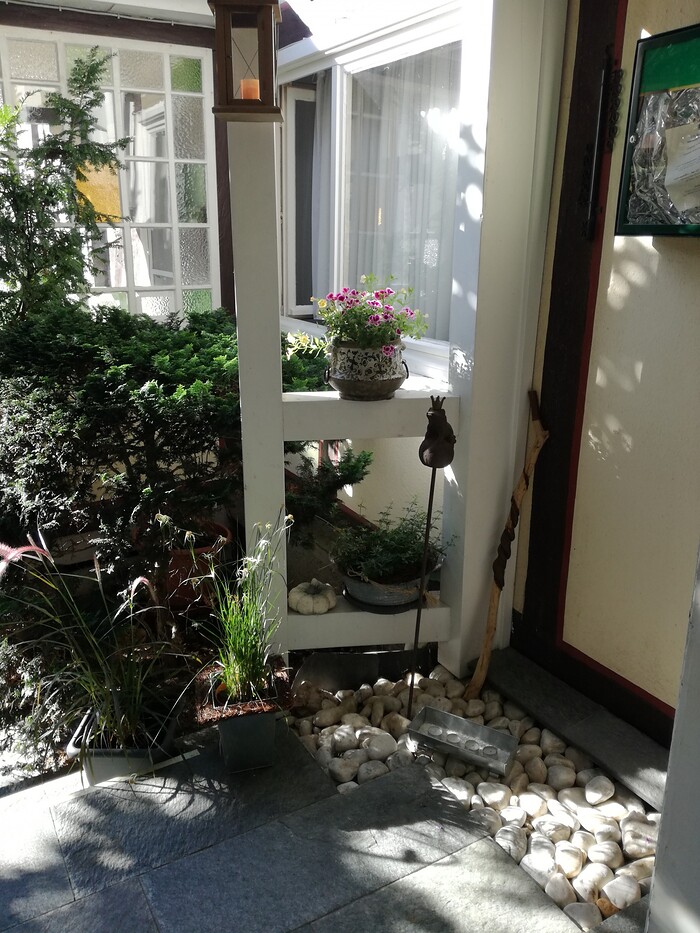Landhotel Stockhausen in Müschenbach, Foto 16