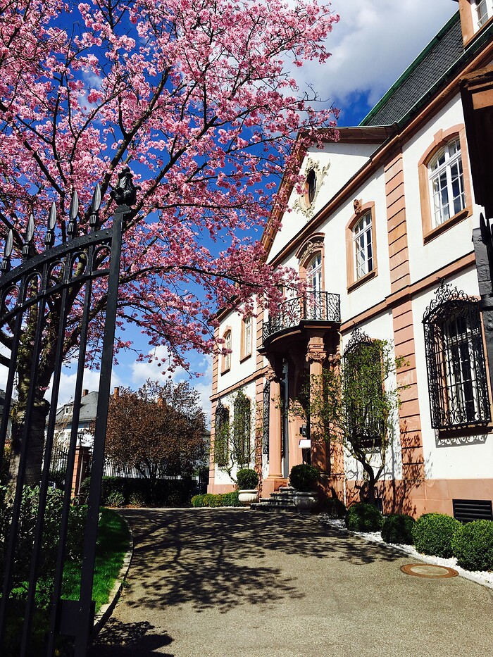 Villa Merton in Frankfurt am Main, Foto 5