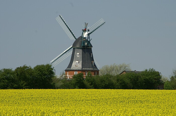 Restaurant Hennigs  in Utersum, Foto 4