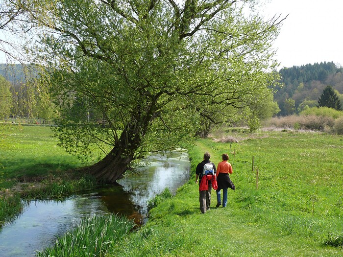 Blick zum Maimont in Ludwigswinkel, Foto 7