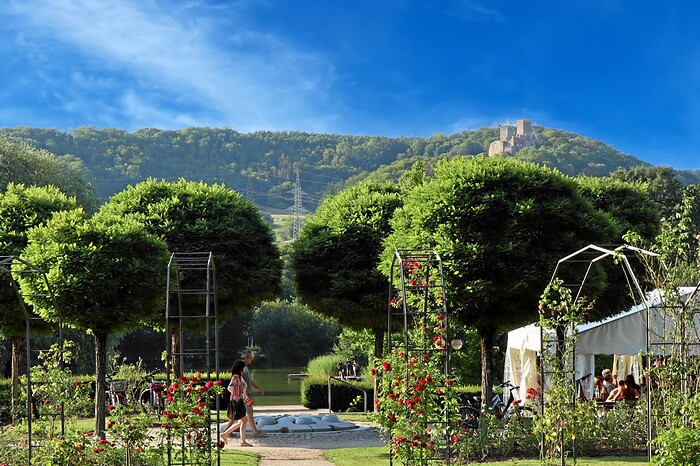 Restaurant Rosengarten in Lörrach, Foto 2