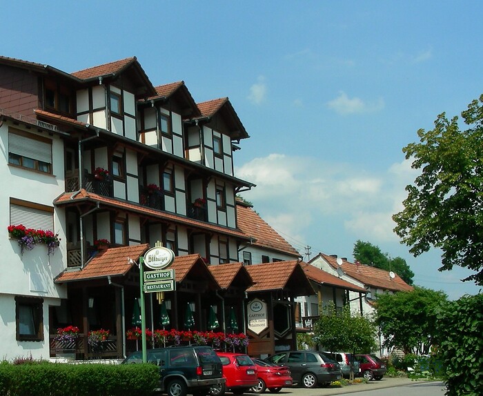 Blick zum Maimont in Ludwigswinkel, Foto 5