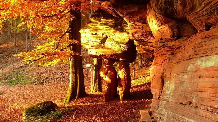 Blick zum Maimont in Ludwigswinkel, Foto 1