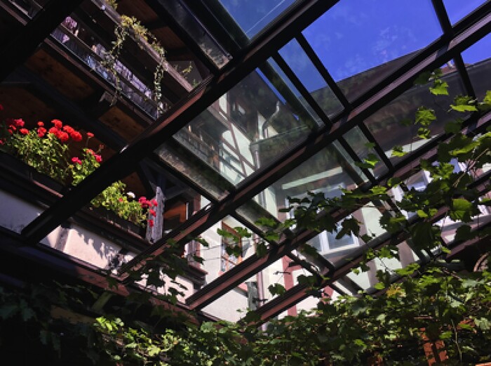 Frei Steinkellerhaus in Gengenbach, Foto 13