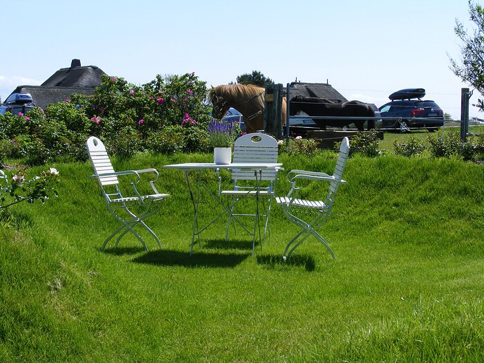 Hotel Ual öömrang Wiartshüs in Norddorf, Foto 15