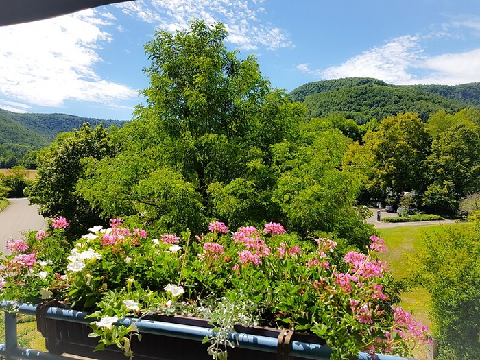 Biosphärenhotel Graf Eberhard in Bad Urach, Foto 3