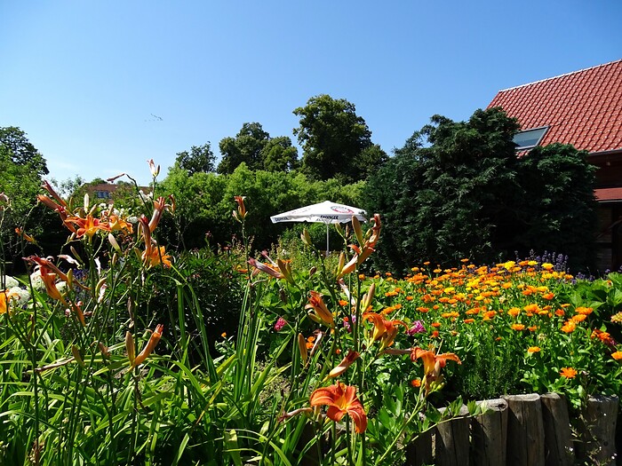 Neuendorfkrug in Lütow, Foto 14